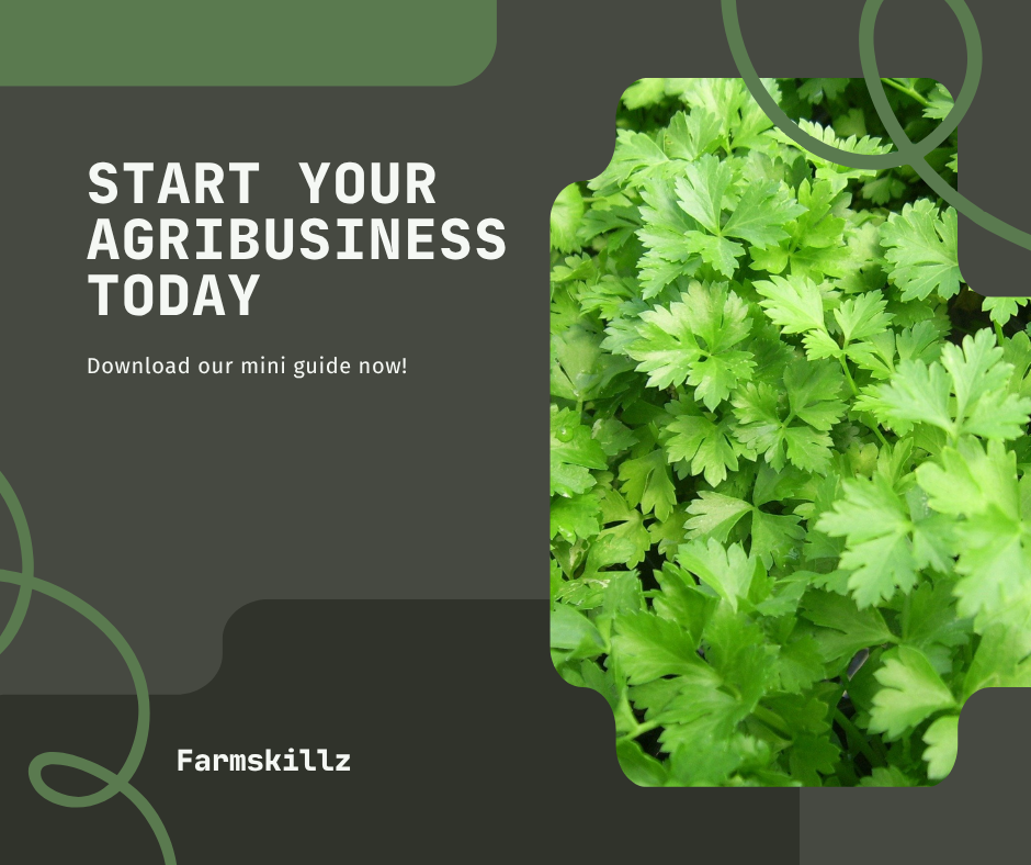 Agribusiness Mini Guide