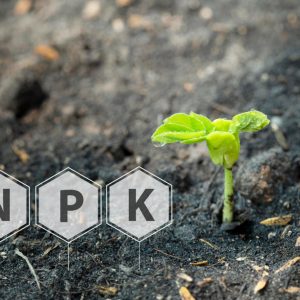 Smart Plant Nutrition: Understanding NPK and Foliar Fertiliser Application