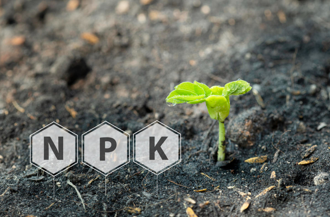 Smart Plant Nutrition: Understanding NPK and Foliar Fertiliser Application