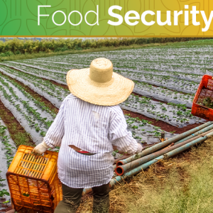 Understanding Food Security in the Caribbean