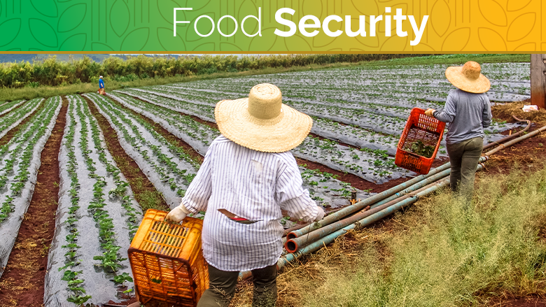 Understanding Food Security in the Caribbean