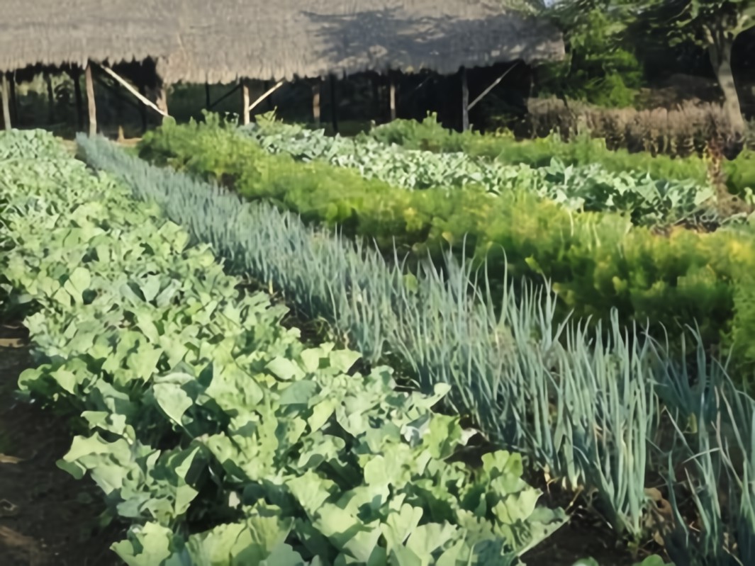 Introduction to Cropping Systems