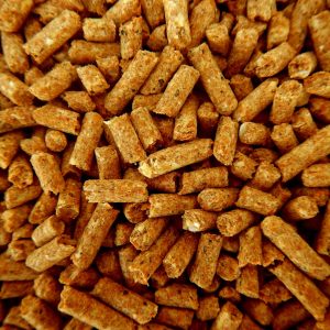 Animal Nutrition and Management