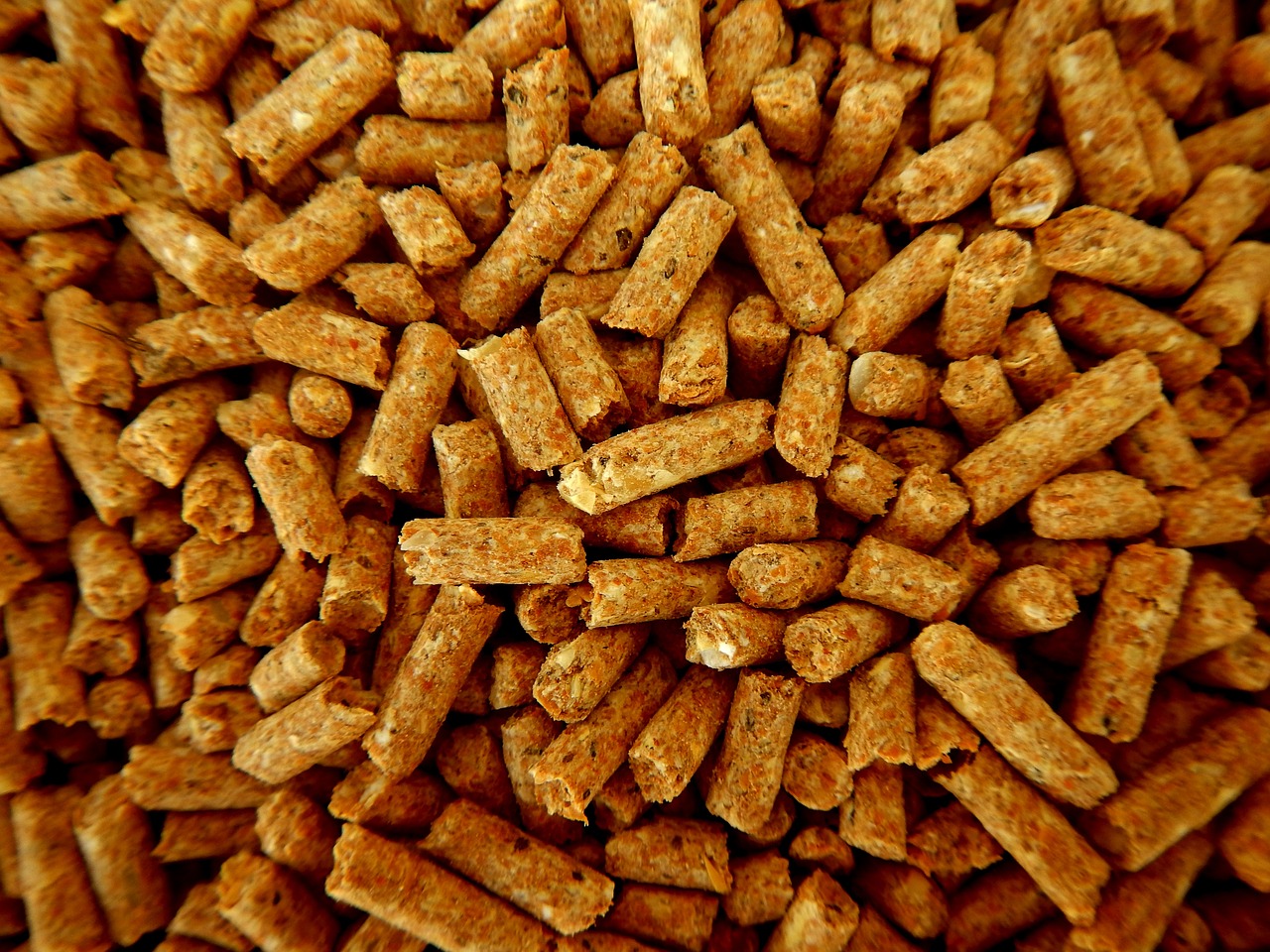 Animal Nutrition and Management