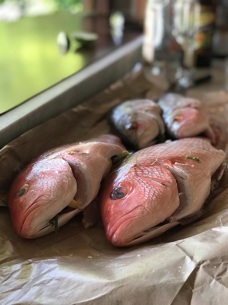 Know Your Catch – Caribbean Fish Identification