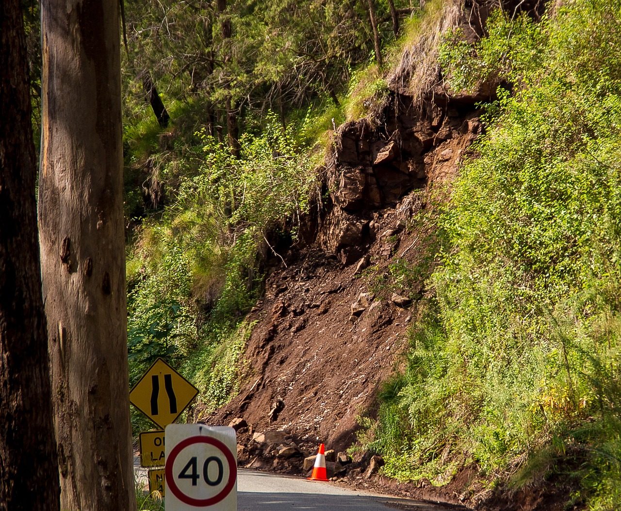 Soil Erosion in the Caribbean: Understanding Causes, Impacts, and Solutions